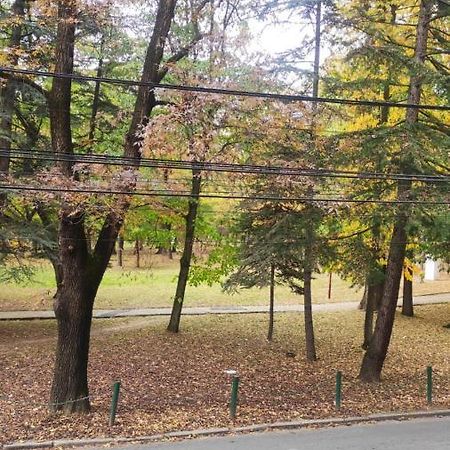 Centar_Park Apartment Arandjelovac Exterior foto